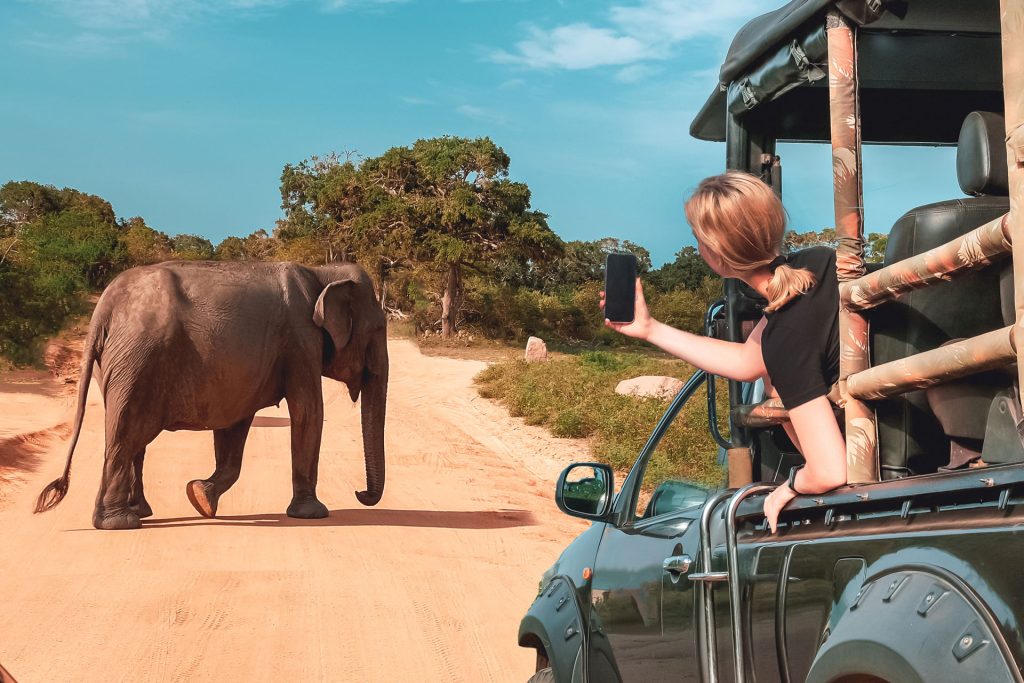 Eco-Tourism in Tanzania