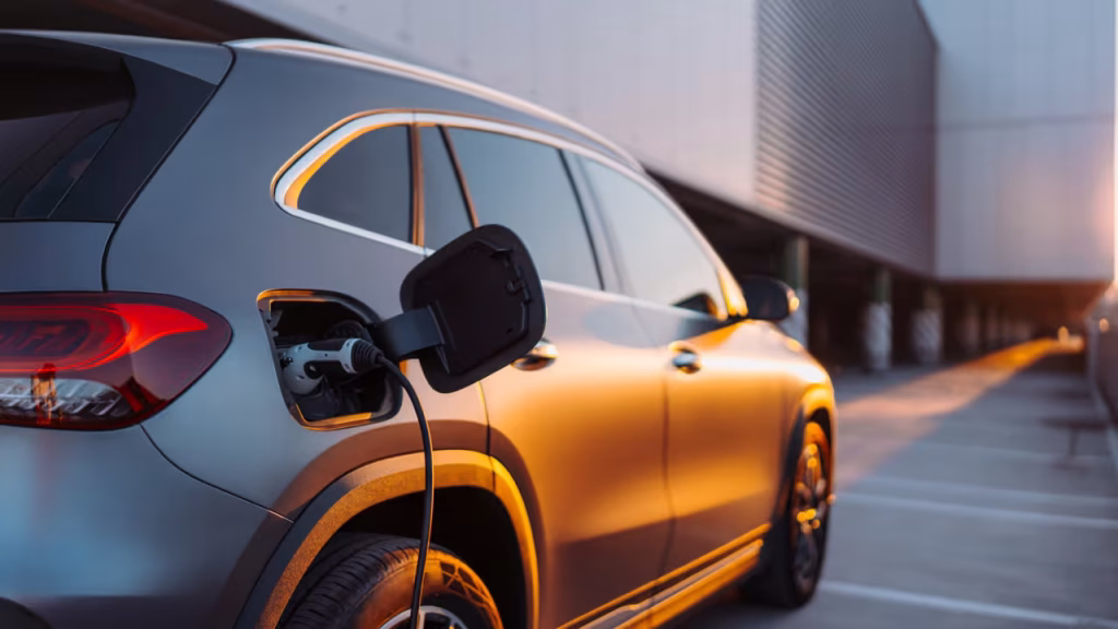 A journey into the electric revolution